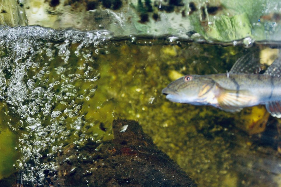 IMG_0131.jpeg IMG_0131.jpeg