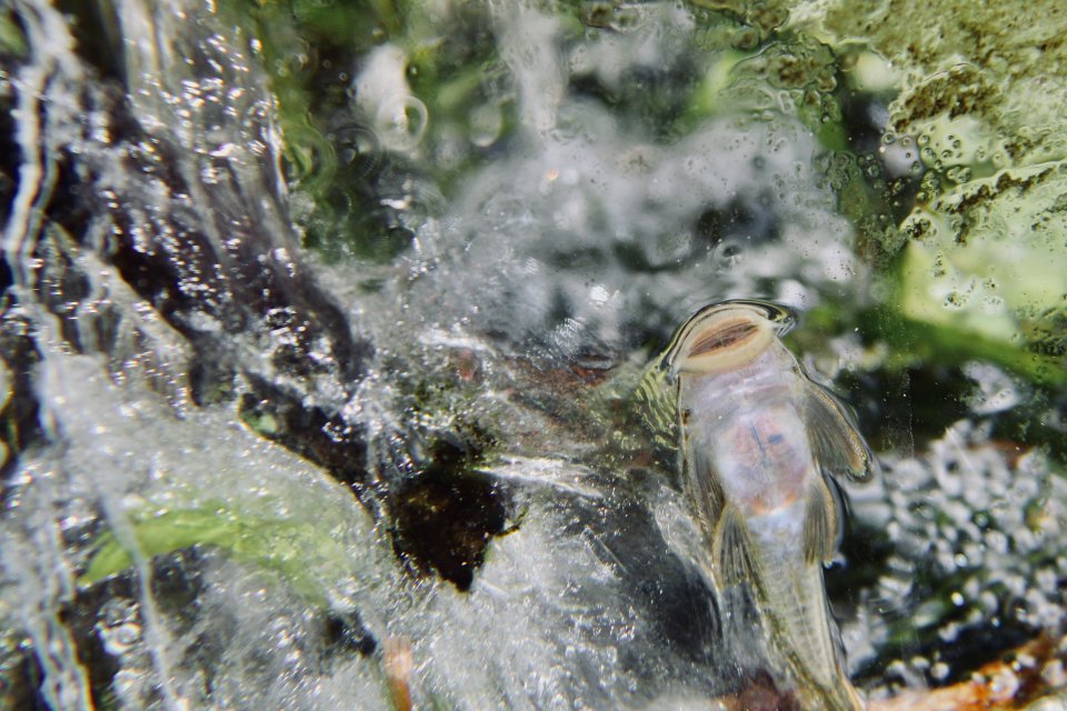 IMG_1646.jpeg IMG_1646.jpeg