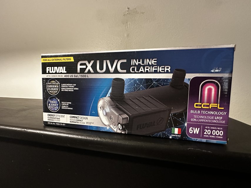 IMG_3049.jpeg IMG_3049.jpeg