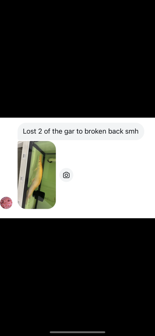 IMG_7235.png