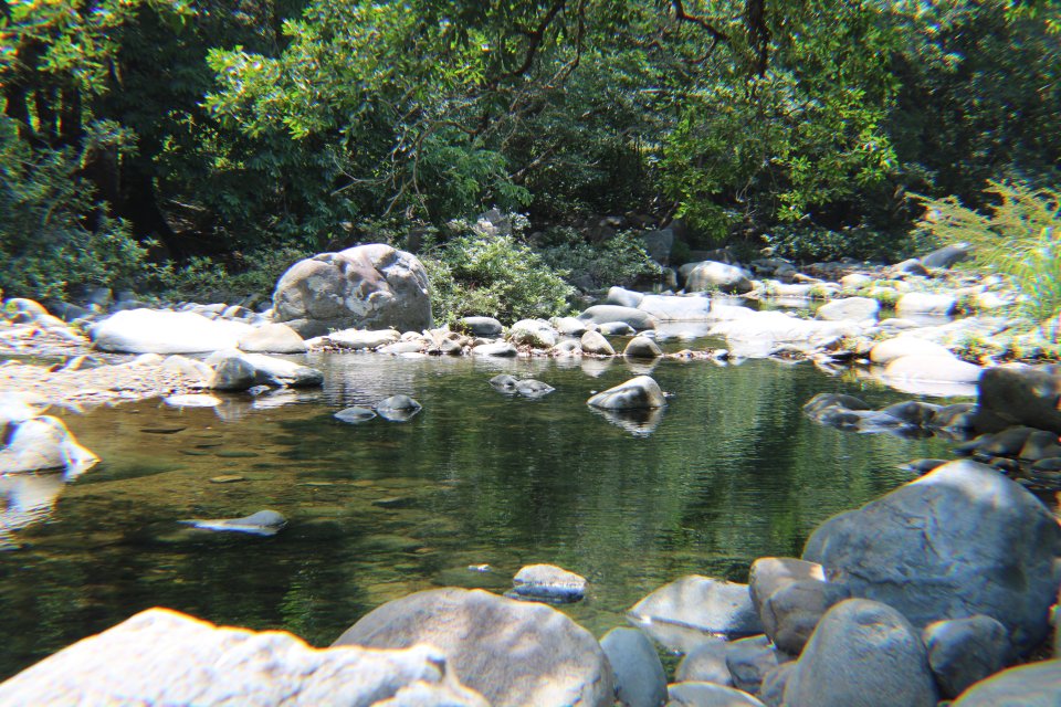 IMG_1761.jpeg