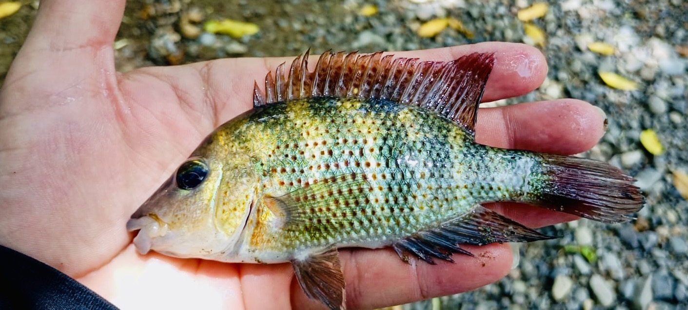 320bad04-a569-4d7e-aa66-e8d26f9505e1.jpeg 320bad04-a569-4d7e-aa66-e8d26f9505e1.jpeg