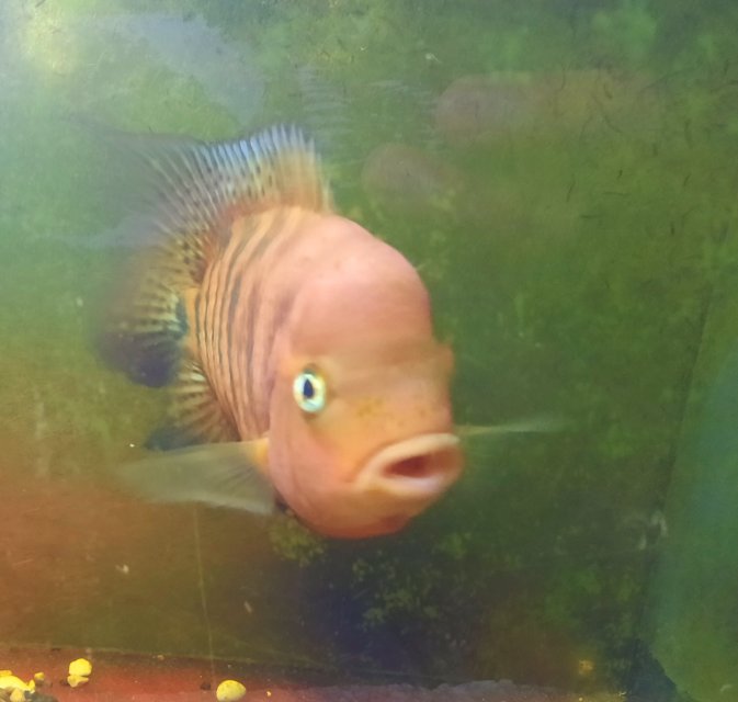 20250501_215917.jpg
