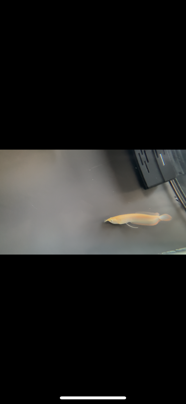 IMG_0884.png