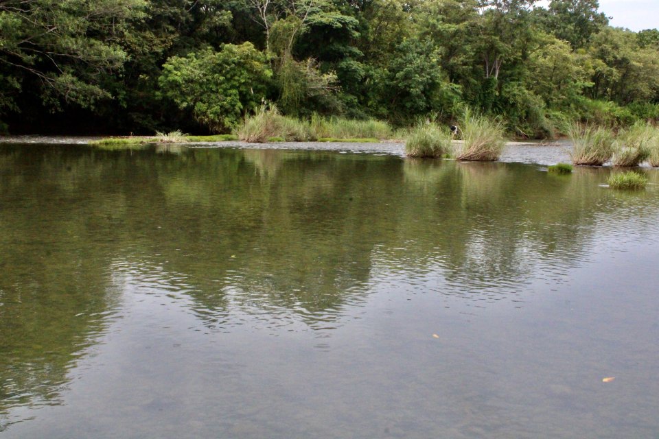 IMG_4027.jpeg