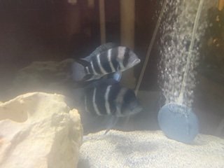 IMG_0999.jpg