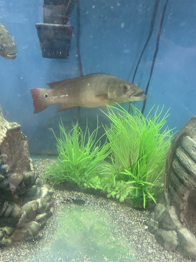 IMG_5013.jpeg
