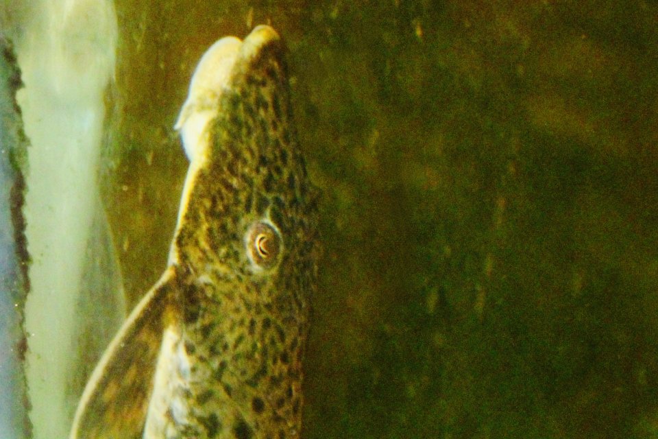 IMG_4458.jpeg