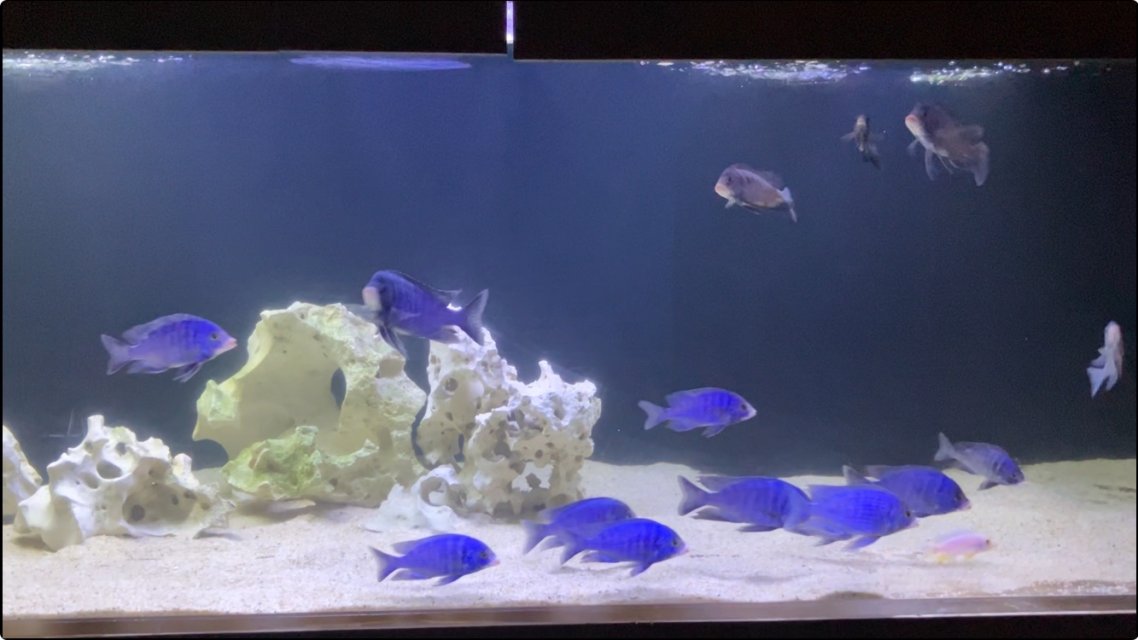 IMG_5575.jpeg IMG_5575.jpeg