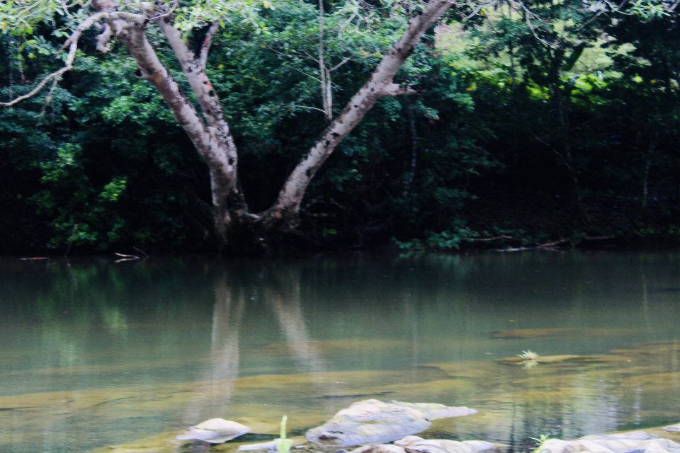 IMG_2742.jpeg