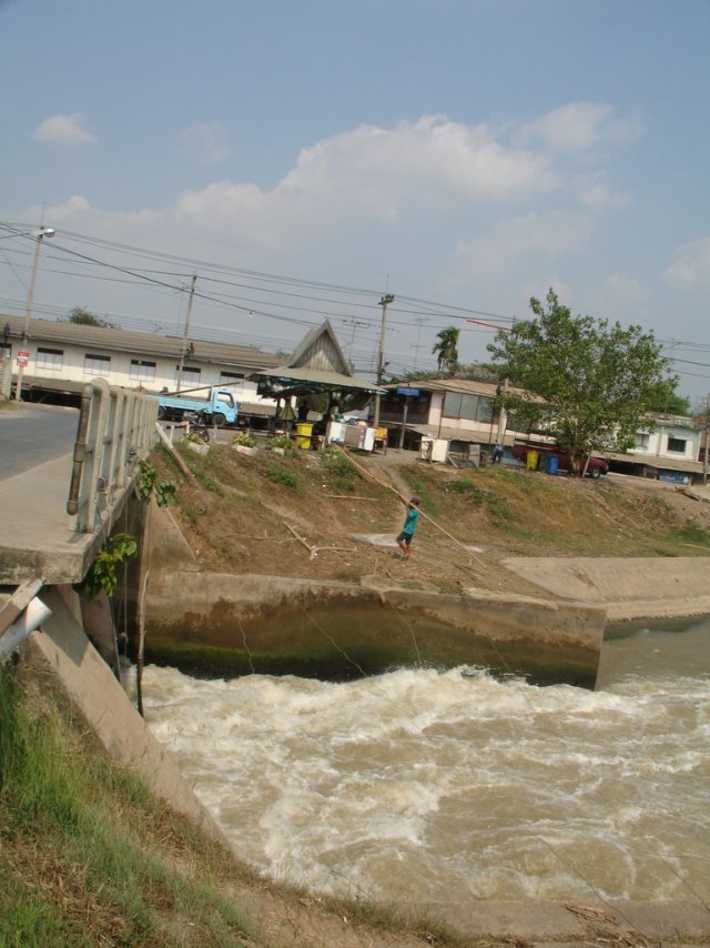 dsc06992_.jpg