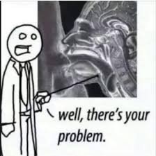 1753409486707.jpeg