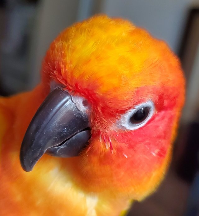 20220402_190157.jpg
