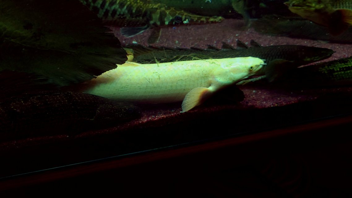 20250723_192041.jpg