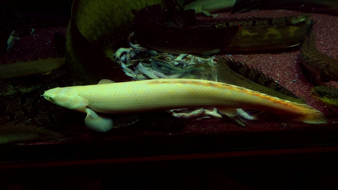 20250723_192013.jpg