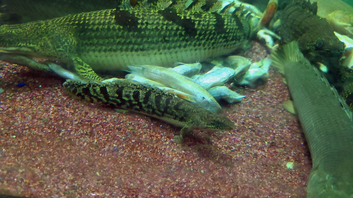 20250723_191537.jpg