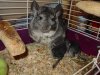 DSC09364.JPG