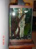 DSC03540.JPG