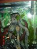DSC03310.JPG