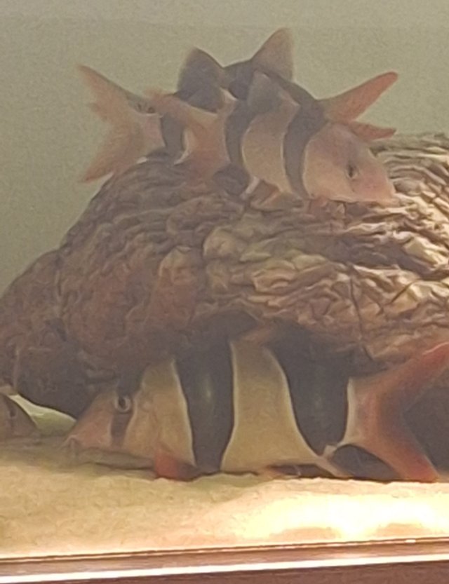 20250726_130926.jpg