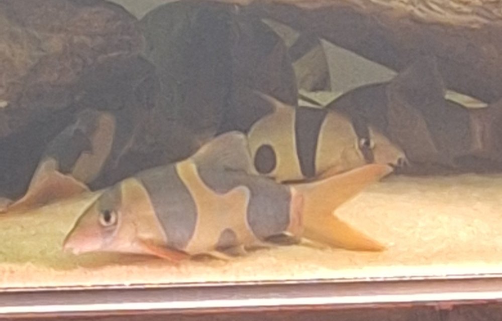 20250726_130900.jpg