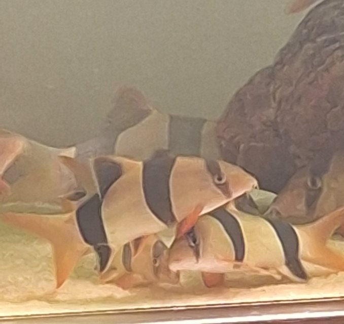 20250726_130919.jpg