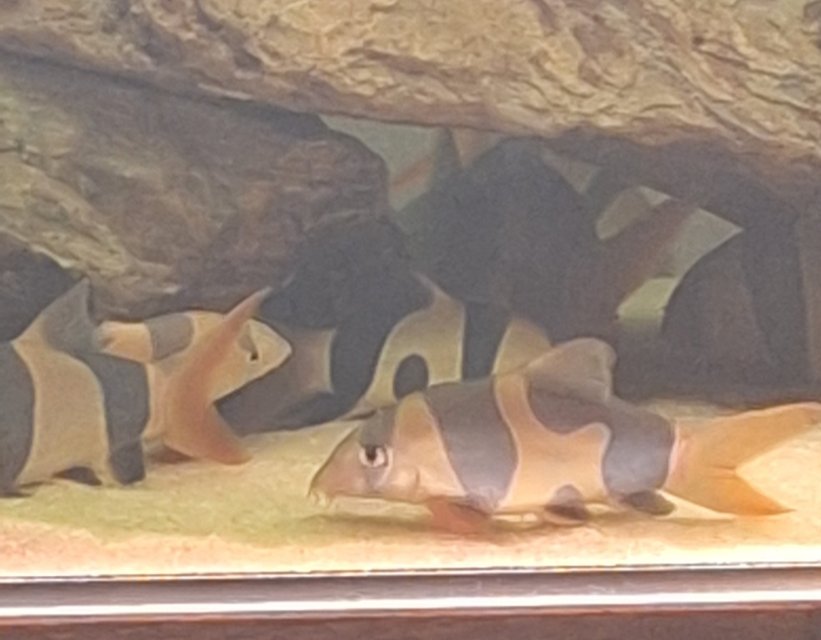 20250726_130848.jpg