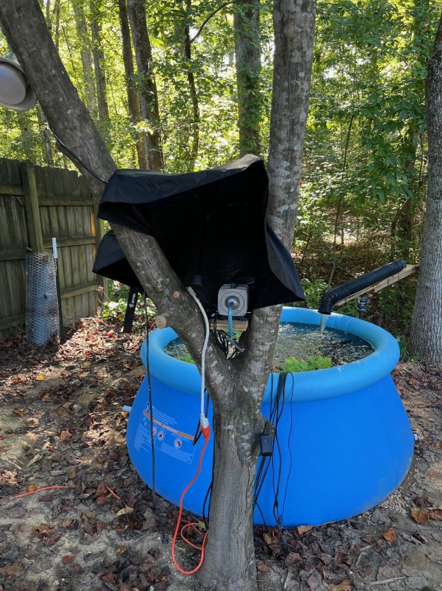 the new outdoor pool-pond 300 gallons.jpg