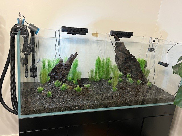 Tank 2.jpg Tank 2.jpg