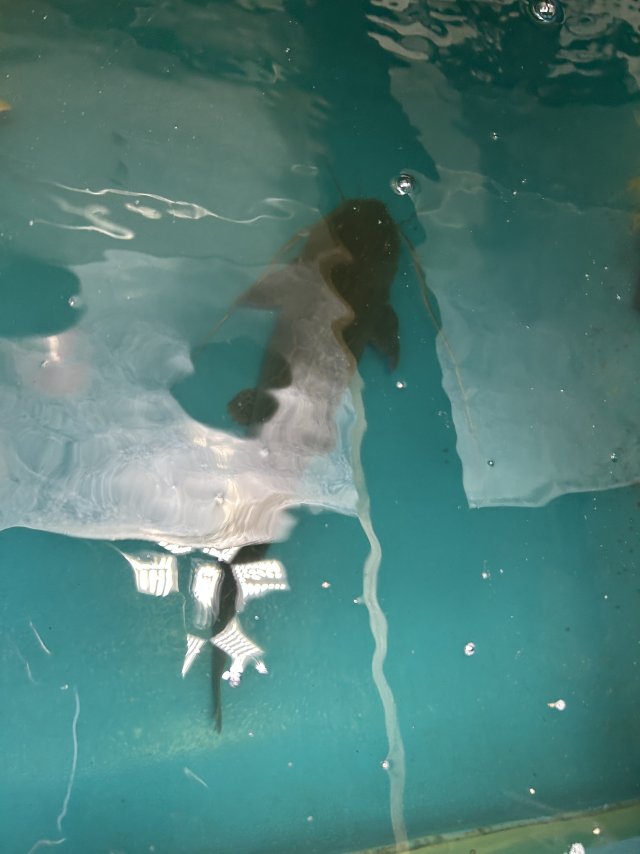 IMG_1143.jpeg