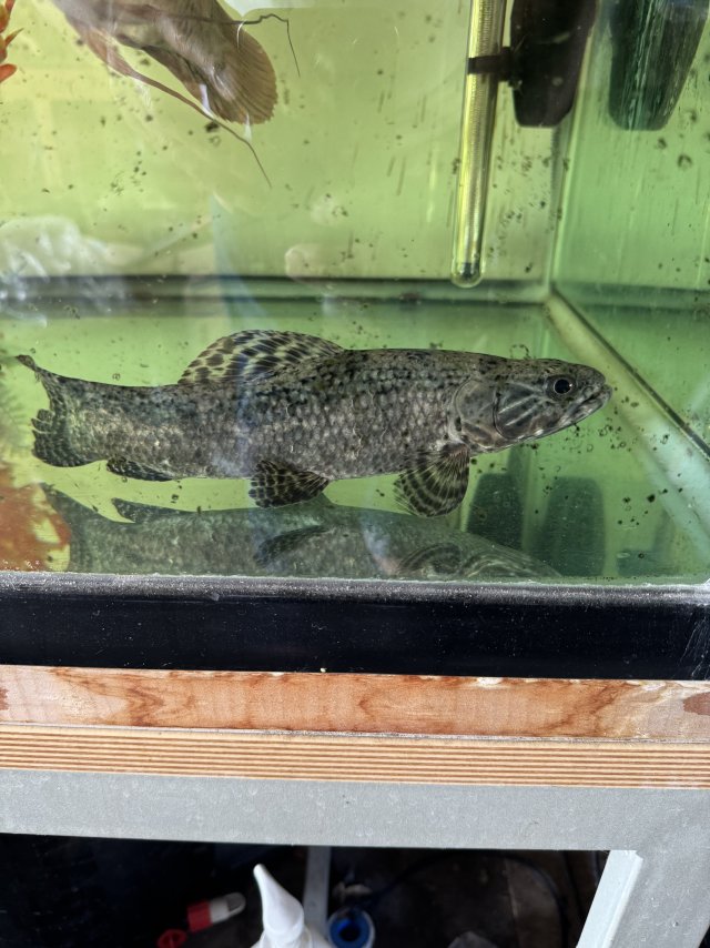 IMG_7160.jpeg IMG_7160.jpeg