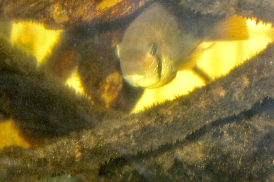 IMG_5512.jpeg
