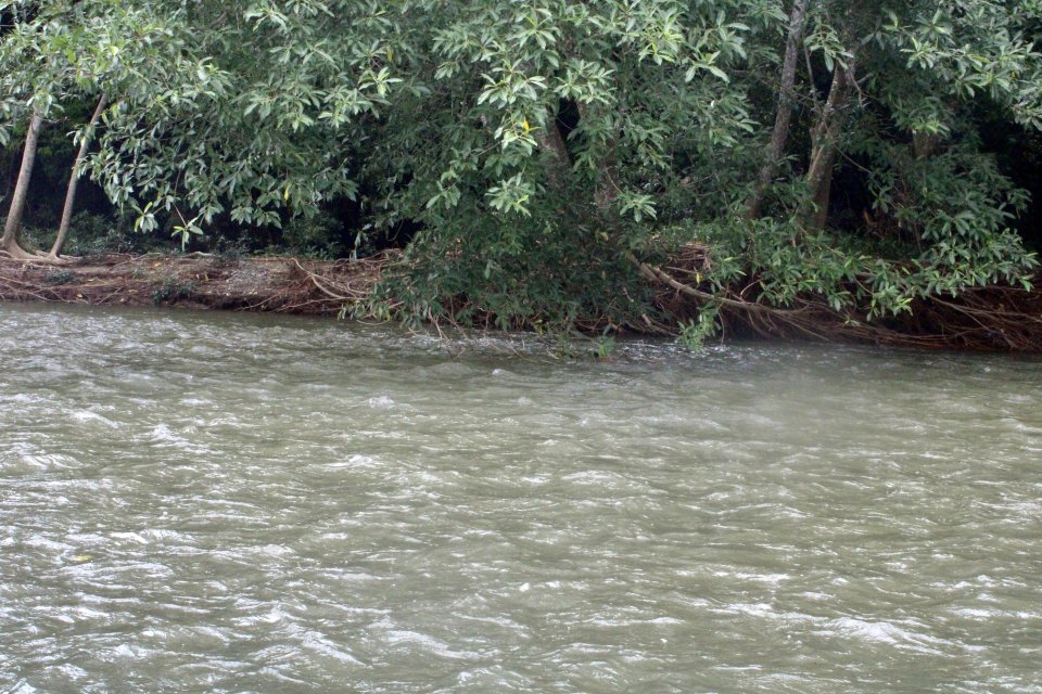 IMG_3788.jpeg