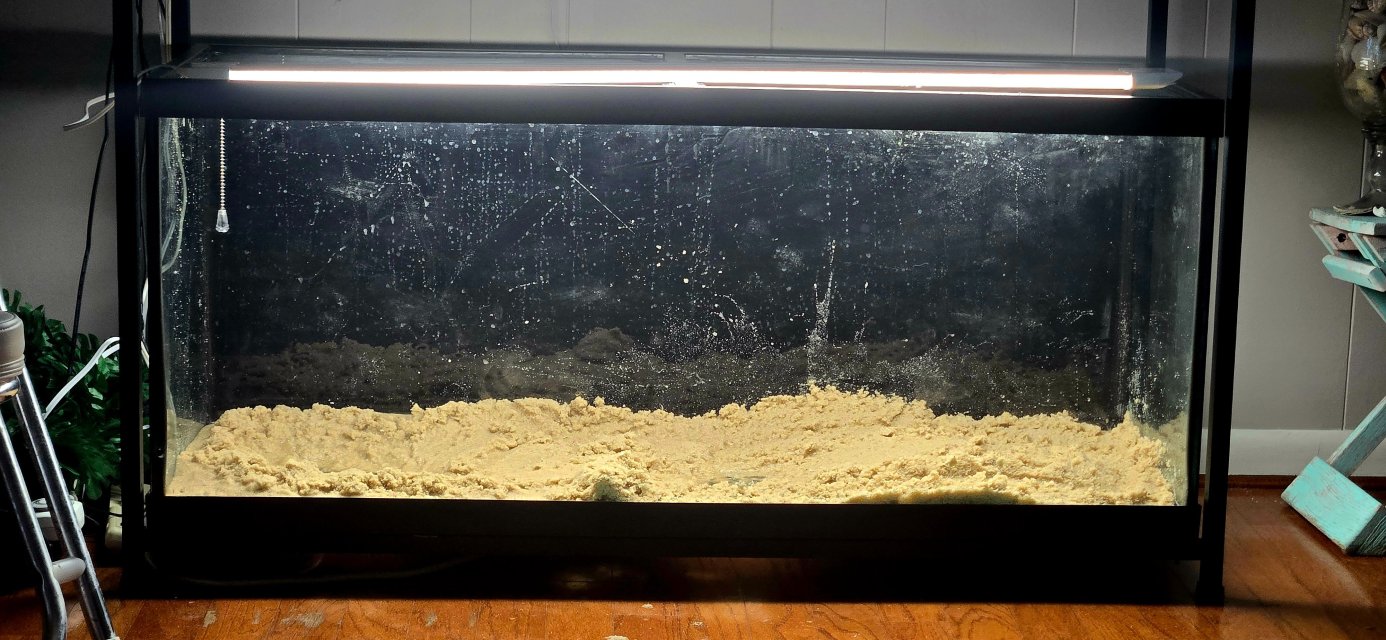 sand.jpg