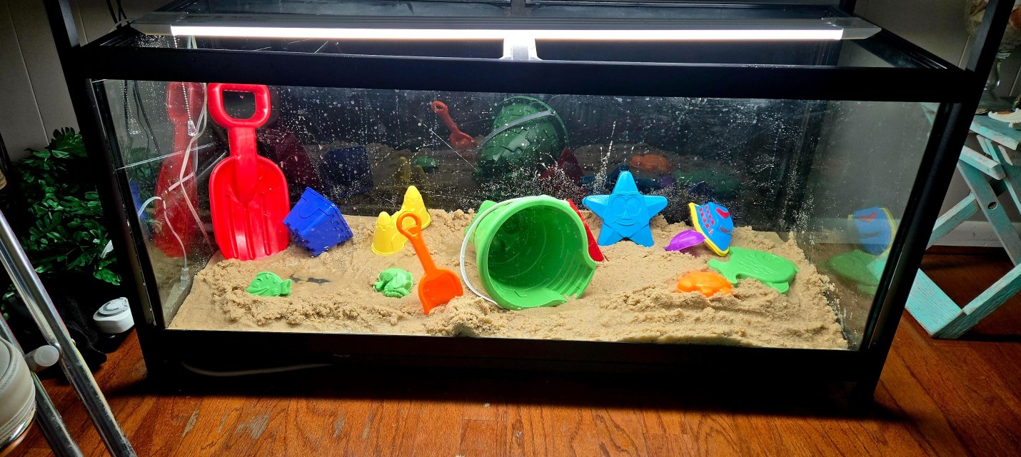 sand toys.jpg