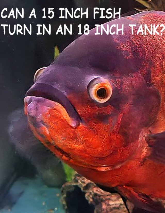 brick avatar 2 alt 2.jpg