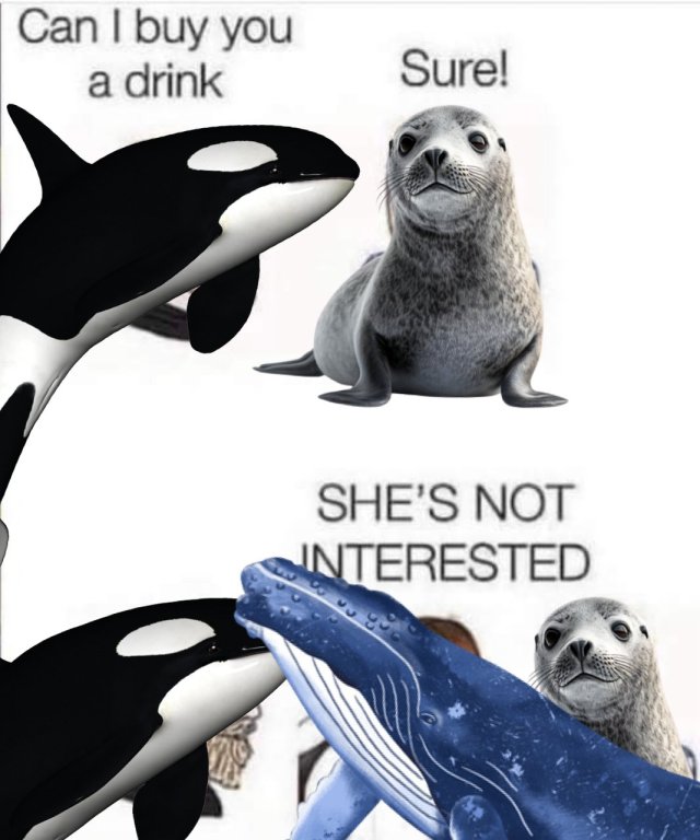 1000049900.jpg