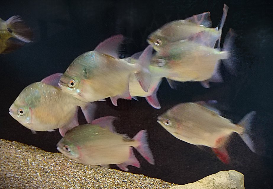 IMG_20250809_110442667_HDR.jpg