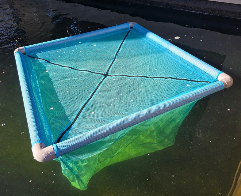 Koi Pond Floating Cages 1.jpg