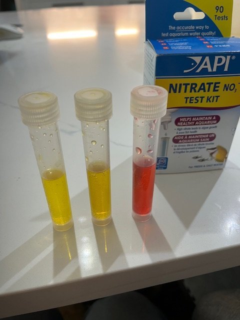 nitrate test.jpg