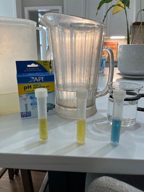 pH test.jpg