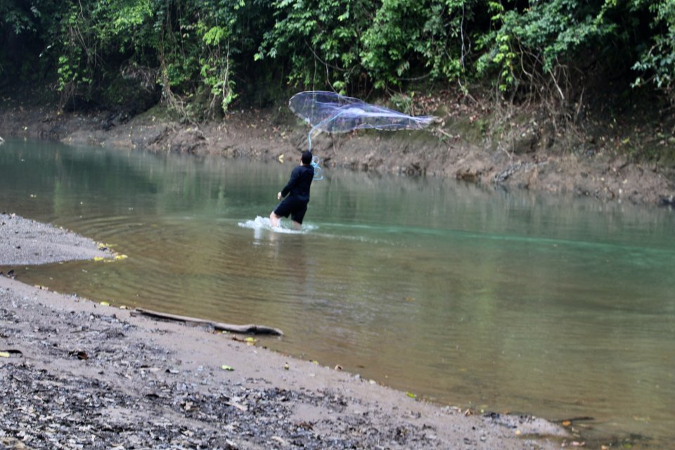 IMG_5923.jpeg