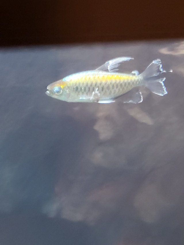 Resized_20250818_205348.jpeg