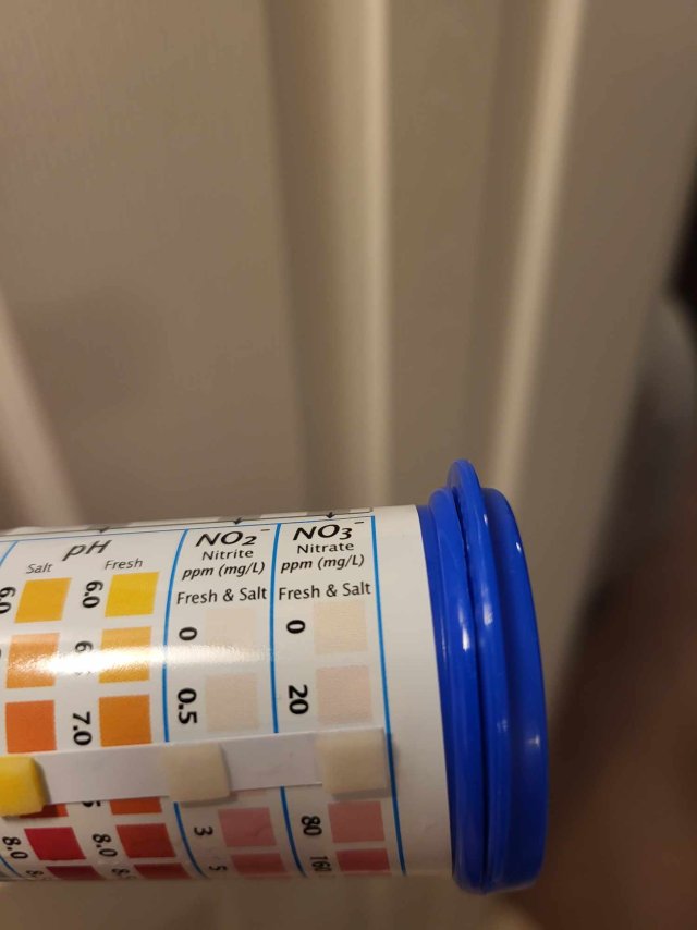 Resized_20250820_174013.jpeg