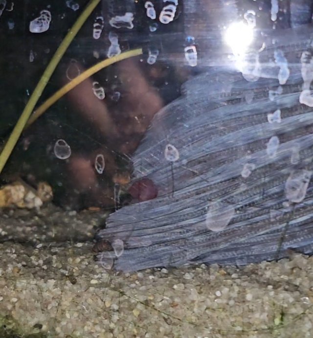 1000031968.jpg