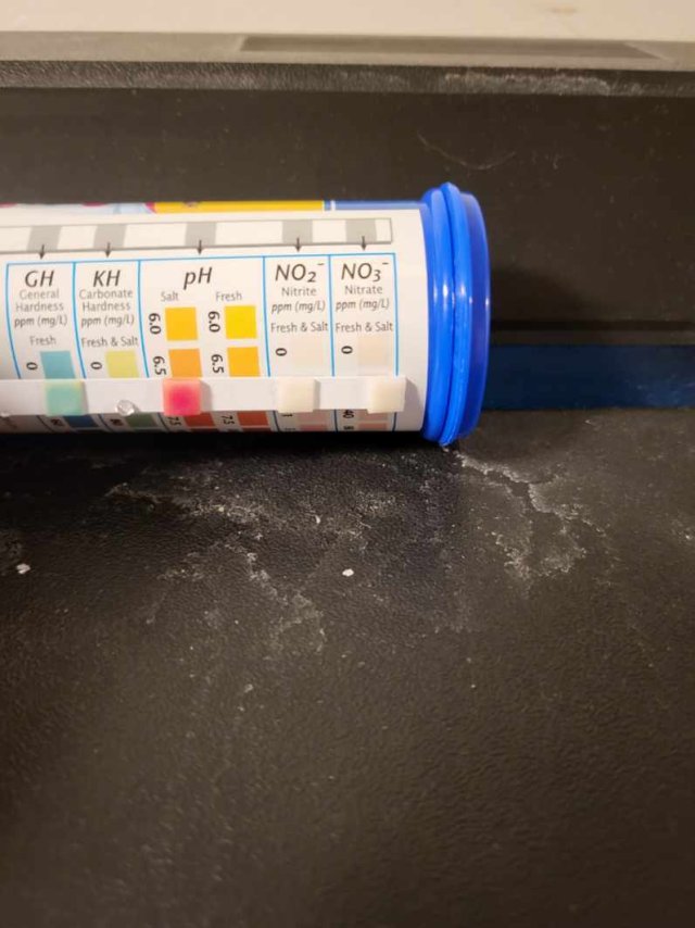 Resized_20250827_205619.jpeg