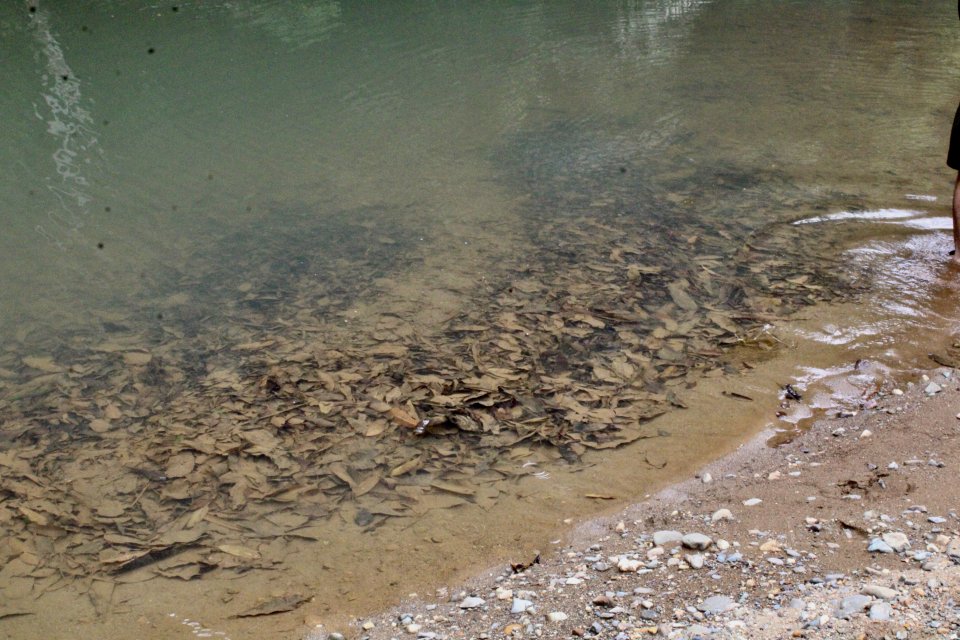 IMG_6536.jpeg IMG_6536.jpeg