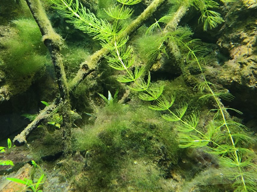 20250902_214628.jpg