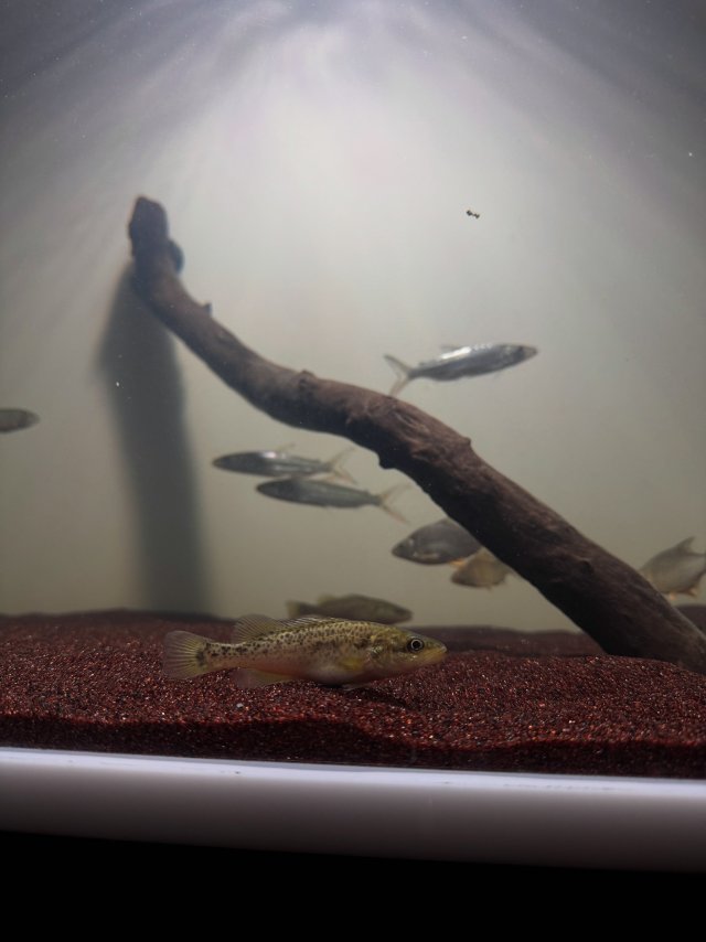08783350-AD06-4C23-ABE5-23B019058BBF.jpeg