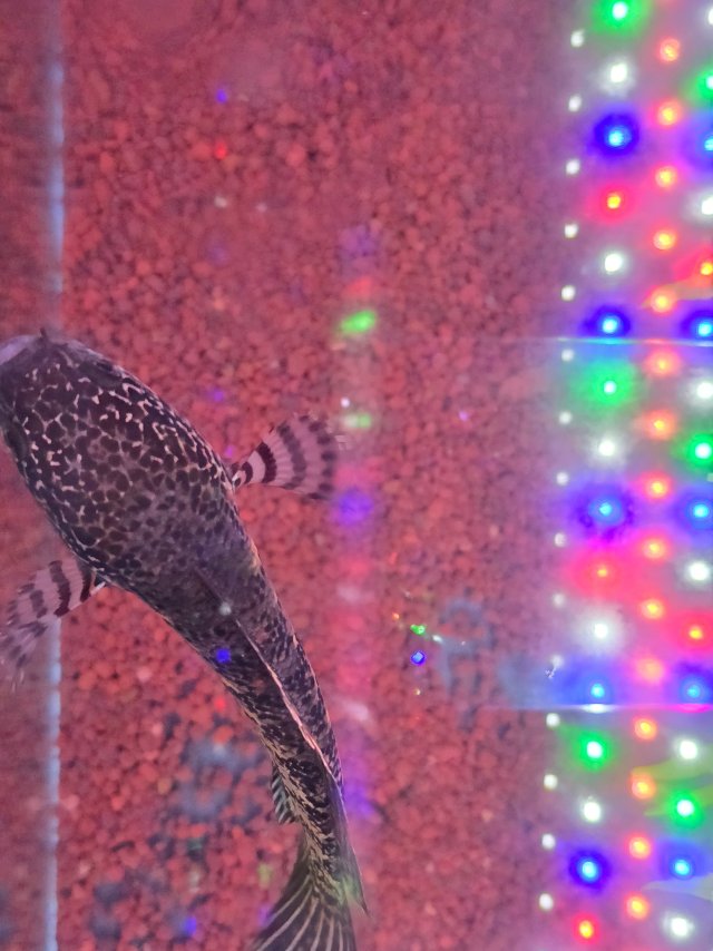 20250904_165749.jpg